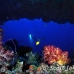arch_arch_h_0705_png1007.jpg